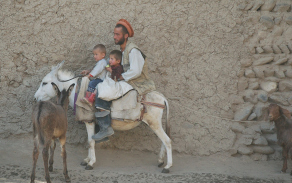afg25.jpg